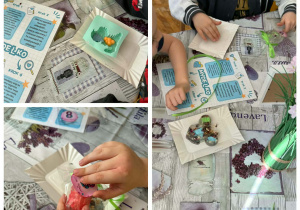 Grupa Smerfy komponuje własnoręcznie mydełka.