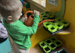 Chłopiec podlewa swoją roślinkę.