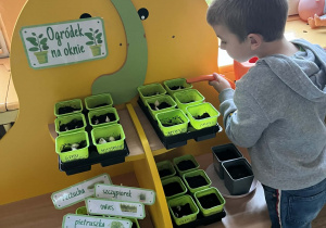 Chłopiec podlewa swoją roślinkę.