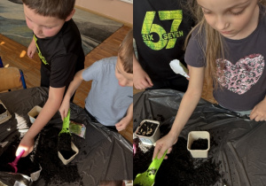 Kolaż przedstawia dzieci sypiące ziemię i ziarenka do własnych doniczek