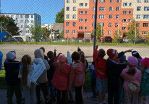 Motylki liczą okna w budynkach w czasie spaceru.