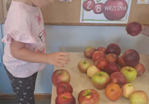 Dziewczynka segreguje jabłka.