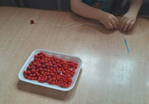 Dzieci tworzą bransoletki, nawlekając czerwone owoce jarzębiny na sznurek.
