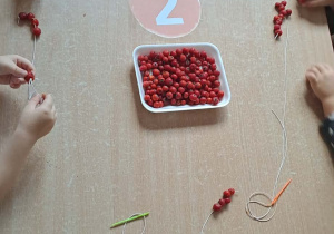 Nawlekanie owoców jarzębiny na sznurek.